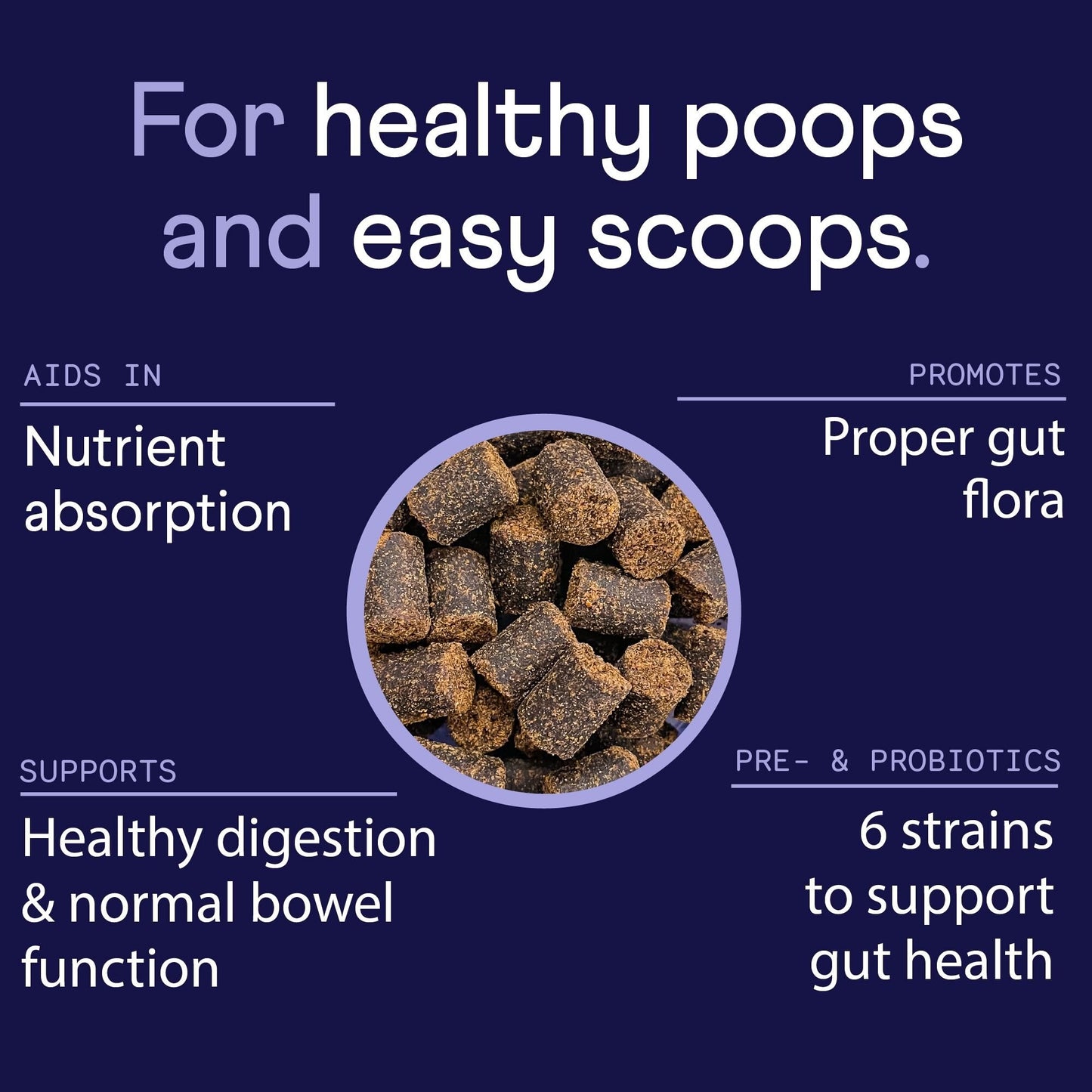 NP1™ Probiotics for Dogs