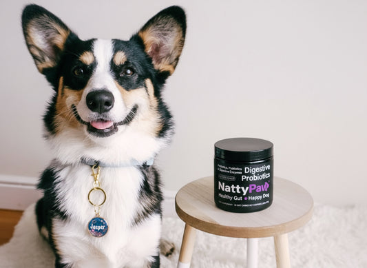 NP1™ Probiotics for Dogs
