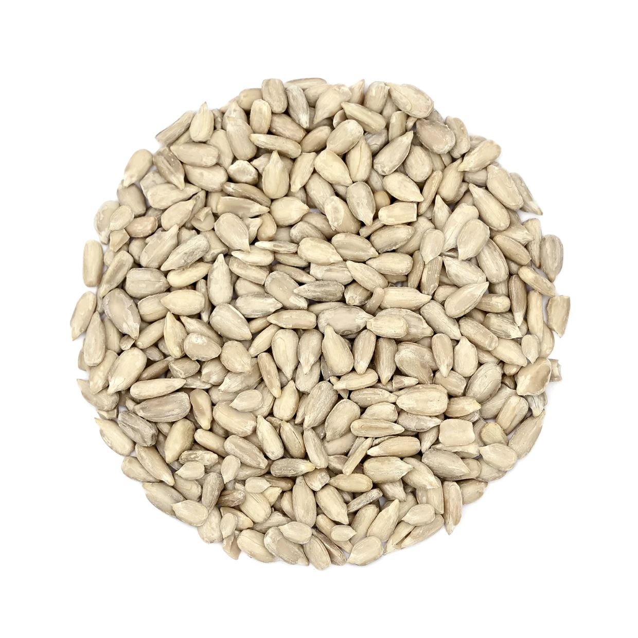 //nattypaw.com/cdn/shop/files/432_2048x.jpg?v=1761402077