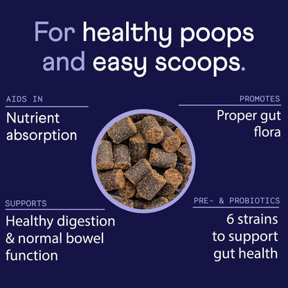 NP1™ Probiotics for Dogs