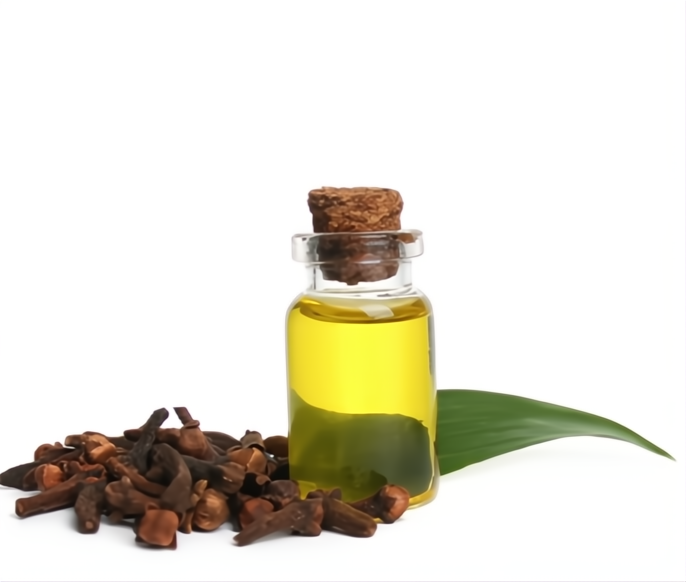 //nattypaw.com/cdn/shop/files/image_ae8e5eb2-aa54-4a9f-8c1d-4439a9f0004a_2048x.png?v=1761401527