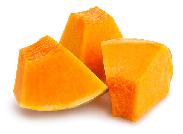 //nattypaw.com/cdn/shop/files/istockphoto-618203798-612x612_2048x.jpg?v=1761401866