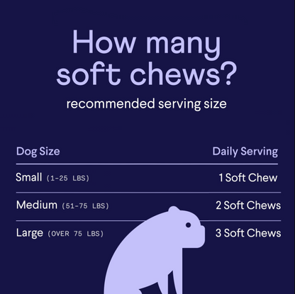 NP1™ Probiotics for Dogs